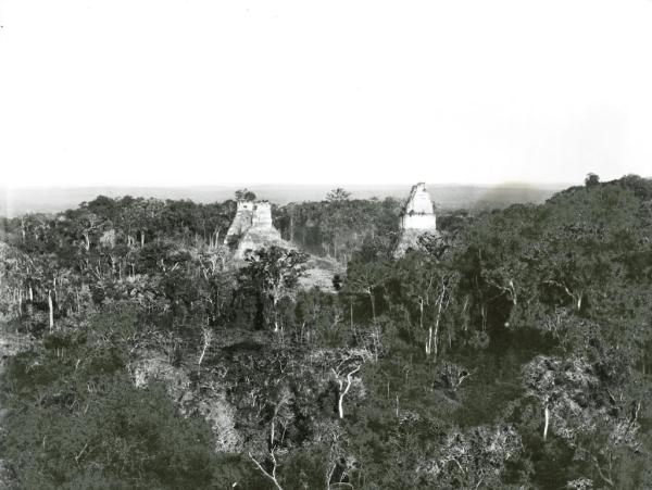 阿尔弗雷德·莫兹莱，危地马拉蒂卡尔遗址，黑白照片，1890-1891