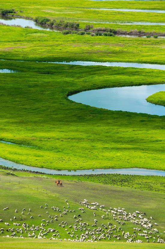 夏天,内蒙古,绿色